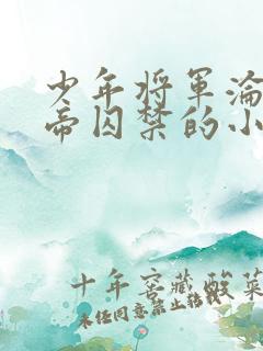少年将军沦为皇帝囚禁的小说