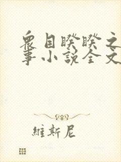 众目睽睽之下的事小说全文免费阅读