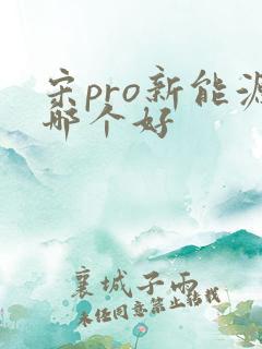 宋pro新能源哪个好