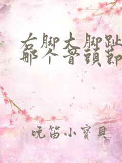 右脚大脚趾根部那个骨头节疼痛