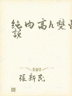 纯肉高h双性小说