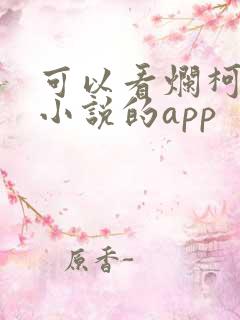 可以看烂柯棋缘小说的app