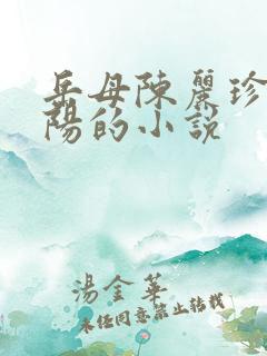 岳母陈丽珍和宋阳的小说