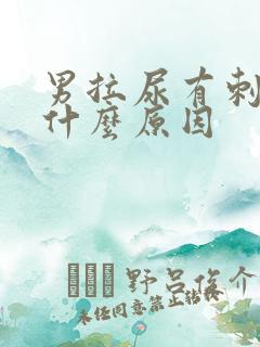 男拉尿有刺痛感什么原因