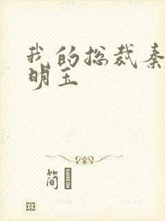 我的总裁秦宇颜明玉
