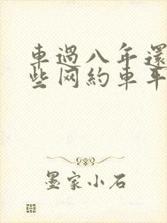 车过八年还有哪些网约车平台可以跑