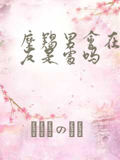 摩羯男会在乎女友是处吗