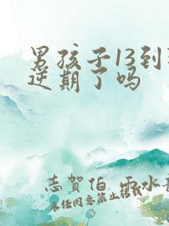 男孩子13到叛逆期了吗