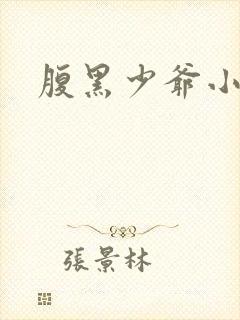 腹黑少爷小甜妻