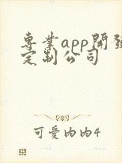 专业app开发定制公司