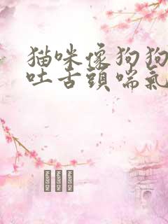 猫咪像狗狗一样吐舌头喘气