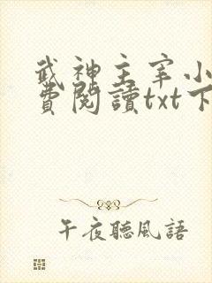 武神主宰小说免费阅读txt下载