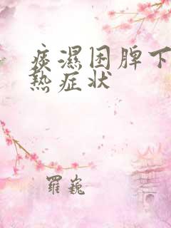 痰湿困脾下焦湿热症状