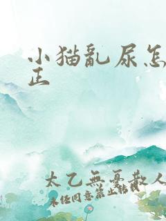 小猫乱尿怎么纠正