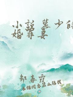 小说 慕少的隐婚罪妻