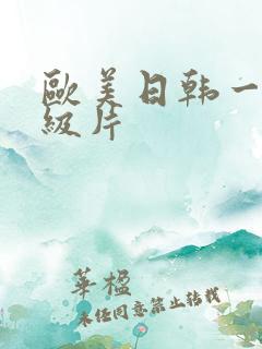 欧美日韩一级一级片