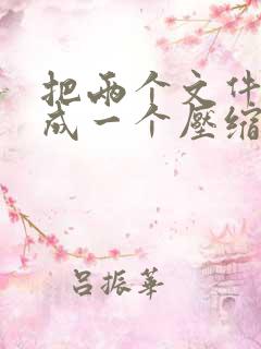 把两个文件压缩成一个压缩包
