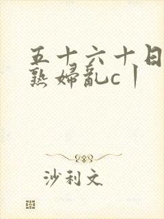 五十六十日本老熟妇乱c丨