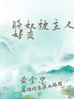 贱奴被主人虐玩好爽
