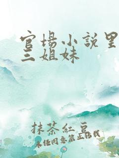 官场小说里面有三姐妹