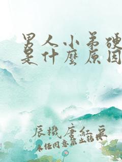 男人小弟硬不起是什么原因