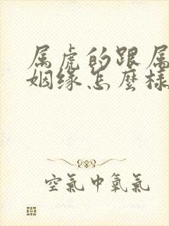 属虎的跟属兔的姻缘怎么样