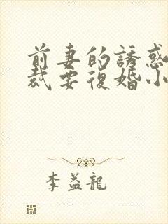 前妻的诱惑,总裁要复婚小说免费阅读