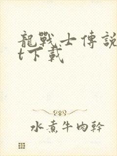 龙战士传说txt下载