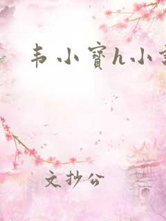 韦小宝h小说