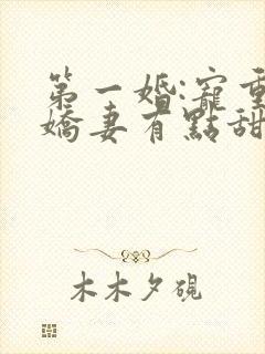 第一婚:宠重生娇妻有点甜