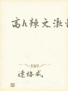 高h辣文激情