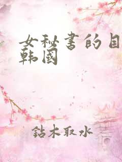女秘书的目的地韩国