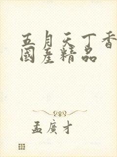 五月天丁香婷婷国产精品