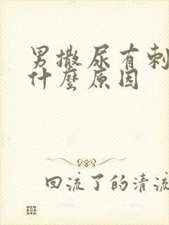 男撒尿有刺痛感什么原因