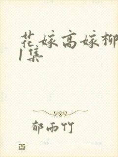 花嫁高嫁柳家第1集