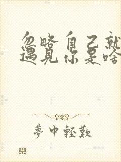 忽略自己就因为遇见你是啥歌