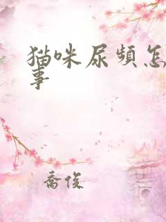 猫咪尿频怎么回事