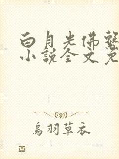 白月光佛系日常小说全文免费阅读
