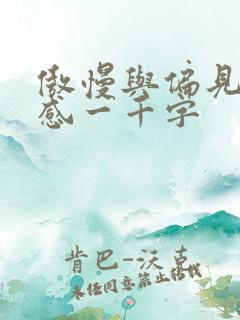 傲慢与偏见读后感一千字