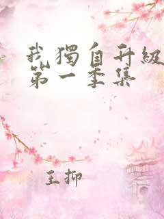 我独自升级动漫第一季集