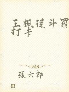 王枫从斗罗开始打卡