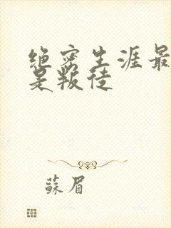 绝密生涯最后谁是叛徒