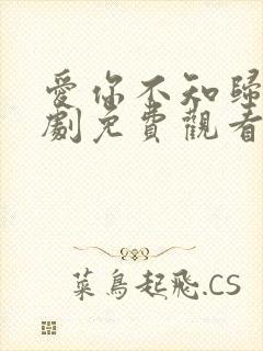 爱你不知归途短剧免费观看全集高清