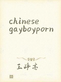 chinesegayboyporn