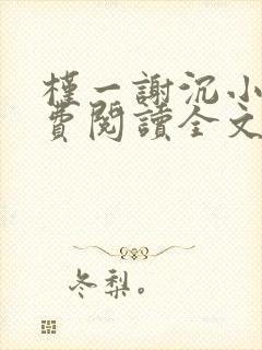 槿一谢沉小说免费阅读全文