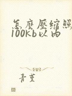 怎么压缩照片到100kb以内