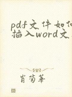 pdf文件如何插入word文档