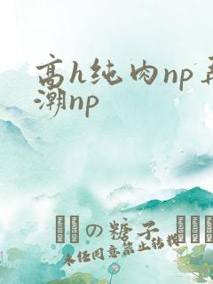 高h纯肉np弄潮np