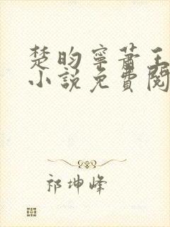 楚昀宁萧王穿越小说免费阅读无弹窗
