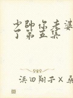 少帅你老婆又跑了第五集